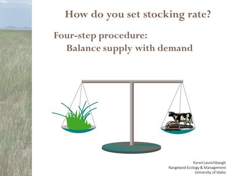 How do you set stocking rate? Four-step procedure: Balance supply with demand Karen Launchbaugh Rangeland Ecology & Management University of Idaho.