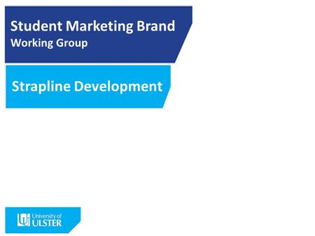 Student Marketing Brand Working Group Strapline Development.