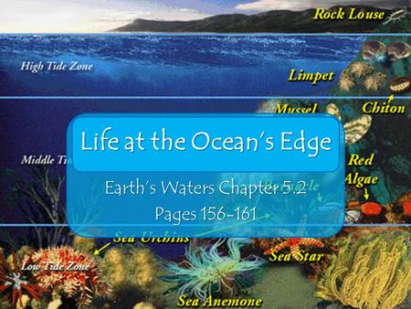 Life at the Ocean’s Edge Earth’s Waters Chapter 5.2 Pages 156-161.