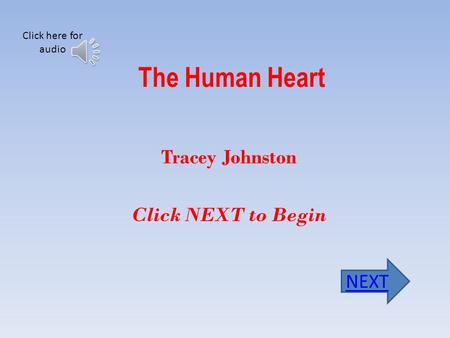 The Human Heart Tracey Johnston Click NEXT to Begin NEXT Click here for audio.