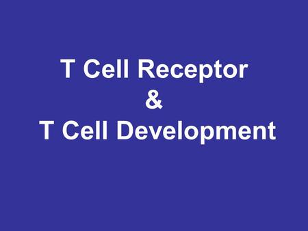 T Cell Receptor & T Cell Development