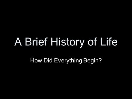 How Did Everything Begin?