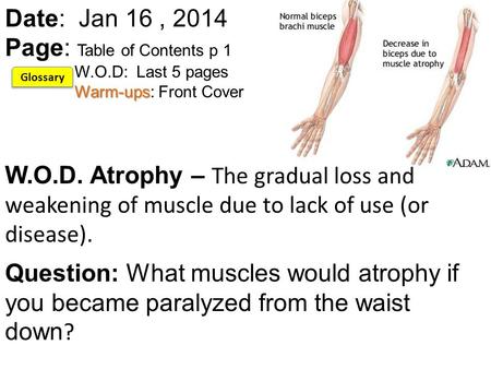 Warm-ups Date: Jan 16, 2014 Page: Table of Contents p 1 W.O.D: Last 5 pages Warm-ups: Front Cover W.O.D. Atrophy – The gradual loss and weakening of muscle.