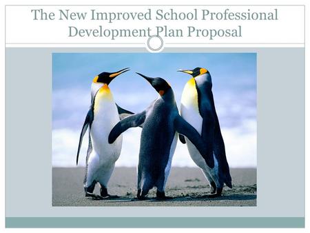The New Improved School Professional Development Plan Proposal.