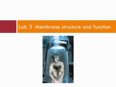 Lab 3 Membrane structure and function. 1. Investigate effects of stressful experimental treatments on living membranes 2. Investigate concepts about membrane.