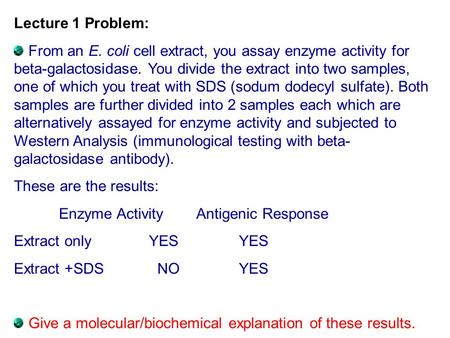Lecture 1 Problem: From an E. coli cell extract, you assay enzyme activity for beta-galactosidase. You divide the extract into two samples, one of which.