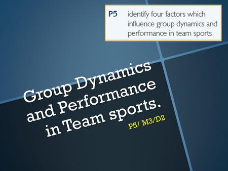 Group Dynamics and Performance in Team sports.
