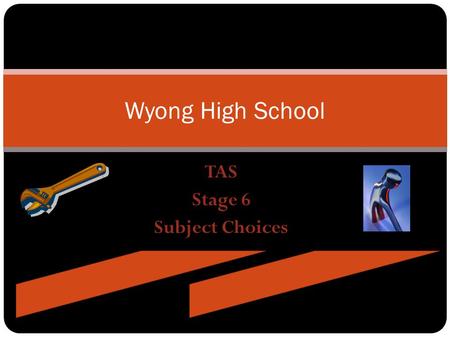 TAS Stage 6 Subject Choices