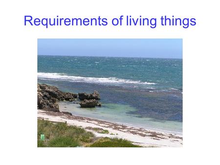 Requirements of living things
