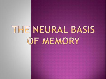  Memories are stored throughout our brains, and linked together through neural pathways.  Different brain areas are involved in different memory types.