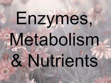 Enzymes, Metabolism & Nutrients. Metabolism Metabolism: all of the chemical reactions which occur in a cell Catabolism: large molecules are broken down.