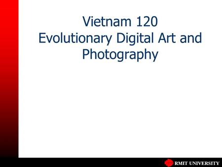 RMIT UNIVERSITY Vietnam 120 Evolutionary Digital Art and Photography.