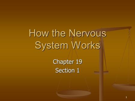 How the Nervous System Works