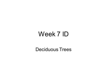 Week 7 ID Deciduous Trees.