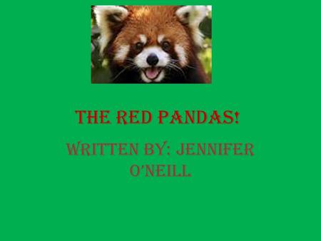 The Red Pandas! Written by: Jennifer O’Neill. What do the amazing red pandas look like and do? The red panda is chestnut colored with alternating light.
