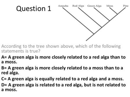 Question 1 According to the tree shown above, which of the following statements is true? A= A green alga is more closely related to a red alga than to.
