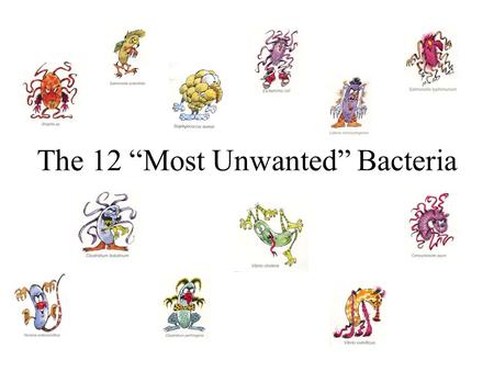 The 12 “Most Unwanted” Bacteria