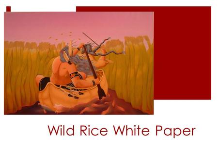 Wild Rice White Paper. ANISHINAABE STANCE ON MANOOMIN  Manoomin is a sacred plant.  Manoomin is a living entity that has it’s own unique spirit.  We.