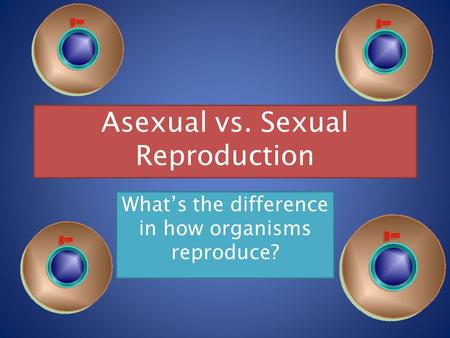 Asexual vs. Sexual Reproduction What’s the difference in how organisms reproduce?