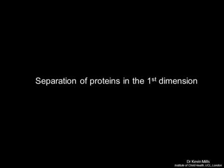 Separation of proteins in the 1 st dimension Dr Kevin Mills Institute of Child Health, UCL, London.
