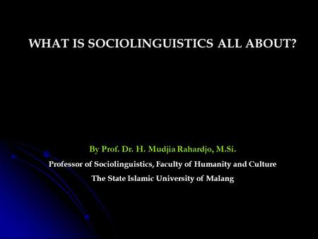 WHAT IS SOCIOLINGUISTICS ALL ABOUT?