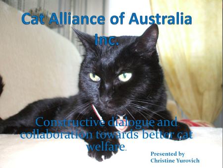 Constructive dialogue and collaboration towards better cat welfare. Presented by Christine Yurovich.