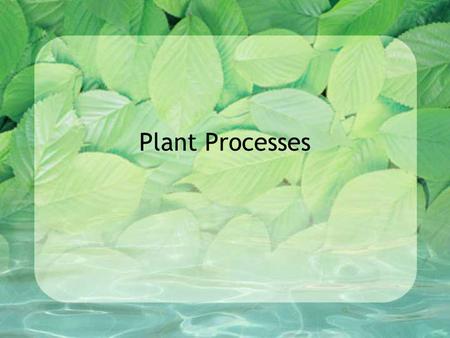 Plant Processes. Photosynthesis-the food manufacturing process in green plants that combine carbon dioxide and water in the presence of light to make.