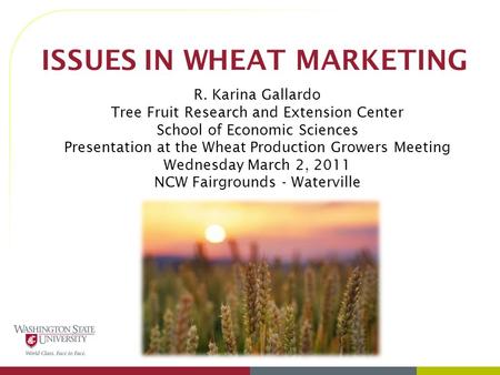ISSUES IN WHEAT MARKETING R. Karina Gallardo Tree Fruit Research and Extension Center School of Economic Sciences Presentation at the Wheat Production.