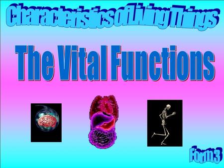 The Vital Functions.