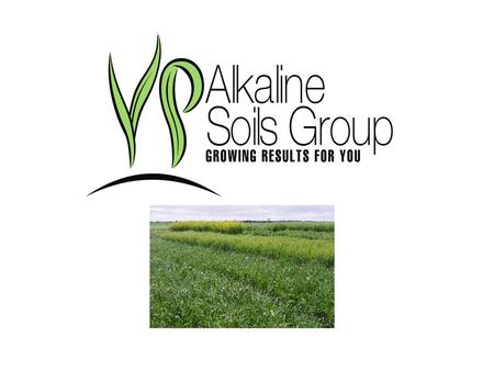 Www.alkalinesoilsgroup.com.au. THE YORKE PENINSULA ALKALINE SOILS GROUP HAS BEEN ESTABLISHED FOR 14 YEARS, THE LAST YEAR HAS SEEN A CHANGE IN STAFFING,