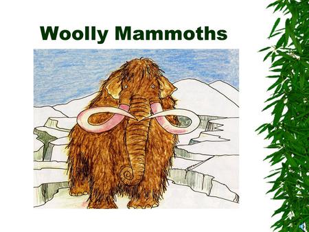 Woolly Mammoths What do you know about woolly mammoths? This is an anticipation guide for our story in TIME DETECTIVES on pages 86-95. Read the questions.