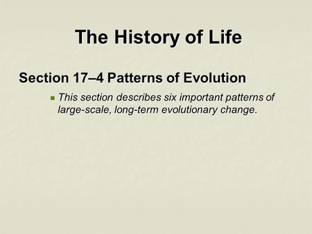 The History of Life Section 17–4 Patterns of Evolution