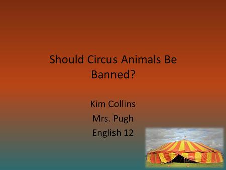 Should Circus Animals Be Banned? Kim Collins Mrs. Pugh English 12.
