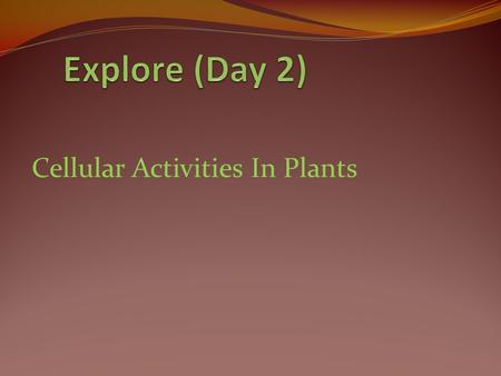 Cellular Activities In Plants. Anacharis: A Light-Dark Comparison.