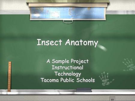 Insect Anatomy A Sample Project Instructional Technology Tacoma Public Schools A Sample Project Instructional Technology Tacoma Public Schools.