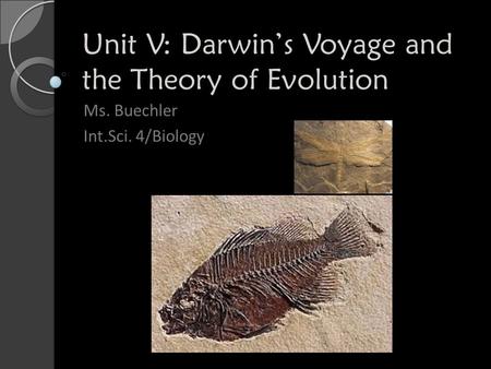 Unit V: Darwin’s Voyage and the Theory of Evolution Ms. Buechler Int.Sci. 4/Biology.