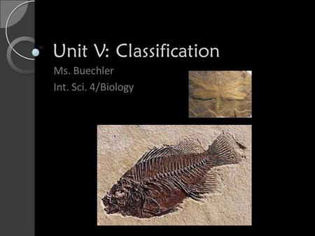 Unit V: Classification