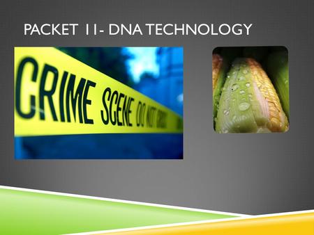 PACKET 11- DNA TECHNOLOGY. WHAT DO WE ALREADY KNOW ABOUT DNA?  DNA is __________ stranded  DNA is made up of four bases: ____, ____,_____, and _____.