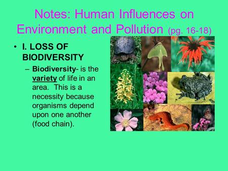 Notes: Human Influences on Environment and Pollution (pg )