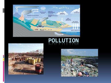 Types of Pollution  Nitrogen (wastewater, farming)  Pharmaceuticals  Garbage  Heavy metals (Hg, Zn, Pb, Fe)  Chemicals (PCB’s, industrial waste)