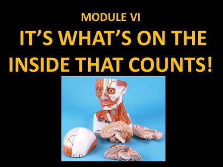MODULE VI IT’S WHAT’S ON THE INSIDE THAT COUNTS!.