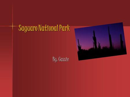 Saguaro National Park By: Cassie. Park Facts Saguaro National Park is located in Tucson, Arizona. Saguaro National Park is located in Tucson, Arizona.