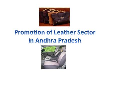 Promotion of Leather Sector