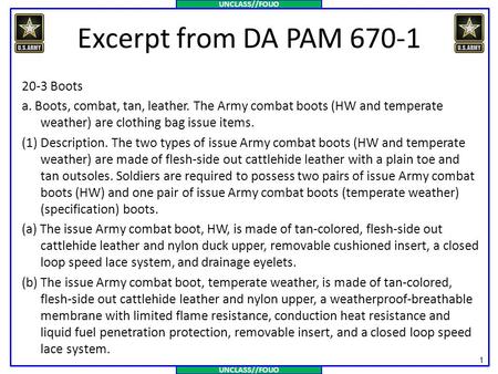 Excerpt from DA PAM 670-1 20-3 Boots a. Boots, combat, tan, leather. The Army combat boots (HW and temperate weather) are clothing bag issue items. (1)