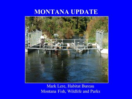 MONTANA UPDATE Mark Lere, Habitat Bureau Montana Fish, Wildlife and Parks.