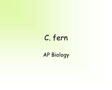 C. fern AP Biology. Ferns Alternation of Generations.