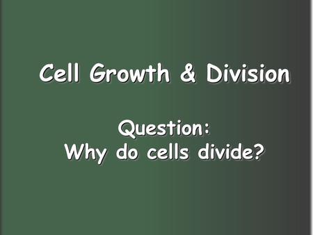 Cell Growth & Division Question: Why do cells divide?