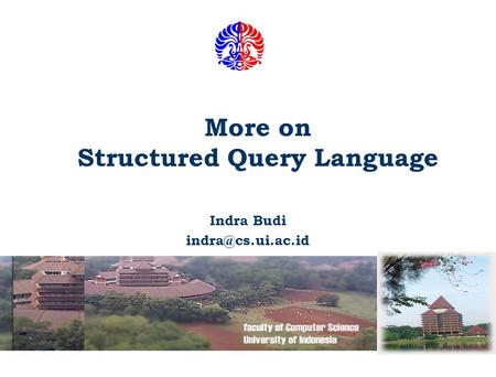 More on Structured Query Language
