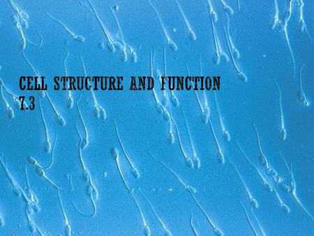 Cell Structure and Function 7.3