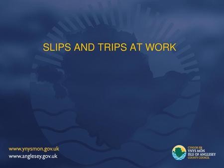 SLIPS AND TRIPS AT WORK Introduction